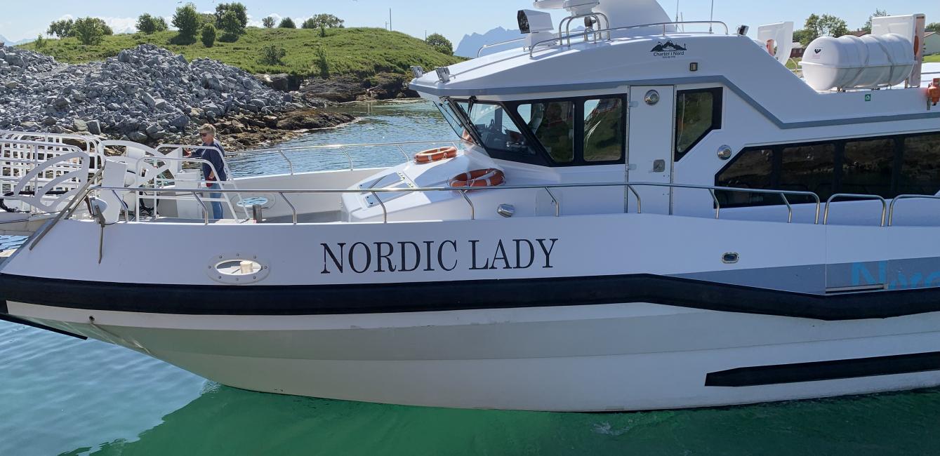Nordic lady